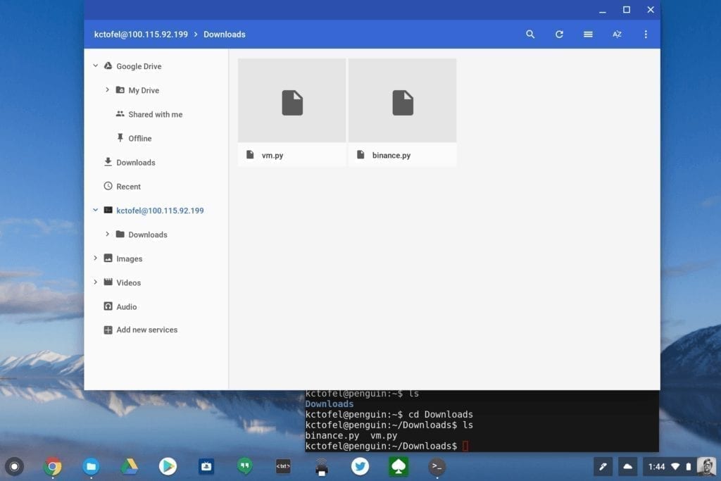 Files moved from Chrome OS to Linux