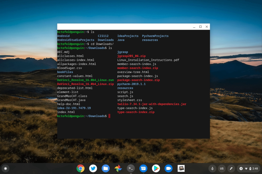 Linux containers on Chromebooks