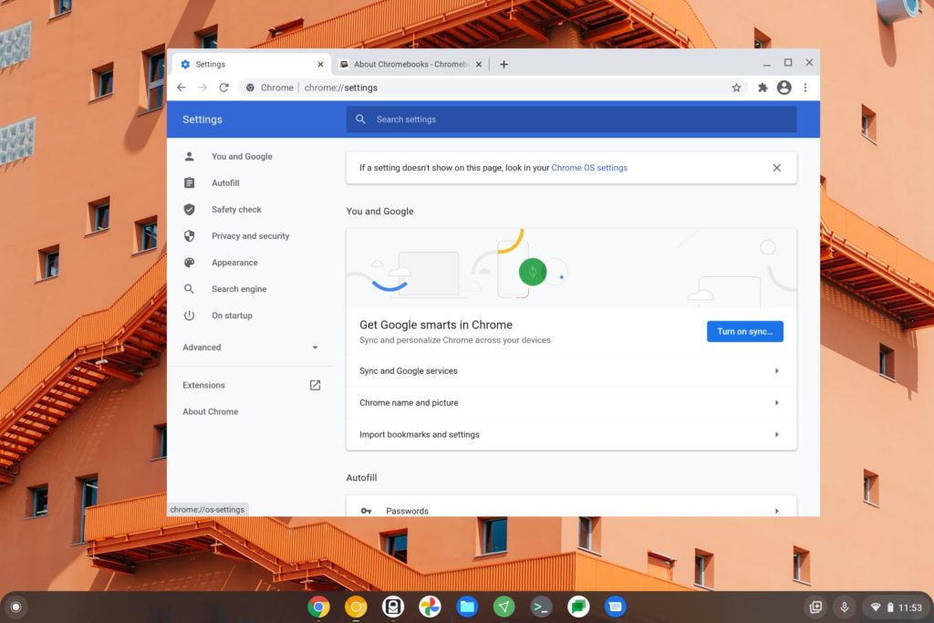Google Chrome for Linux on a Chromebook