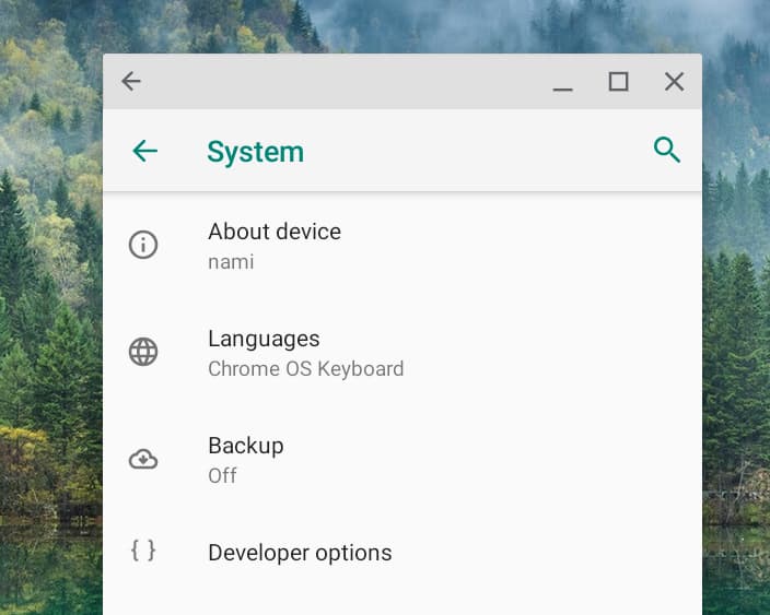 Developer options in Android on a Chromebook