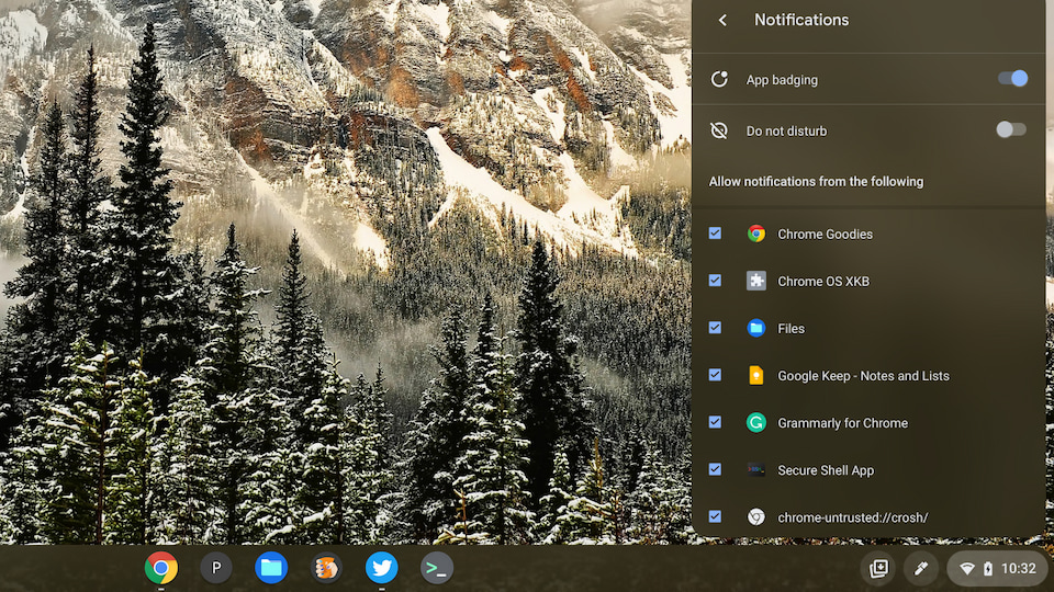 Chrome OS notification settings