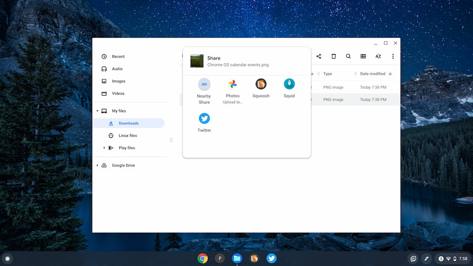 Chrome OS Self Share of an image