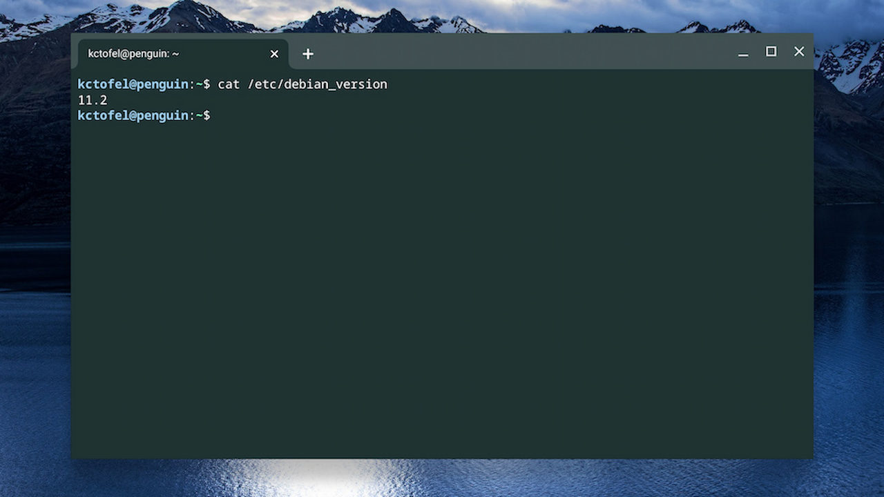 Debian 11.2 on a Chromebook