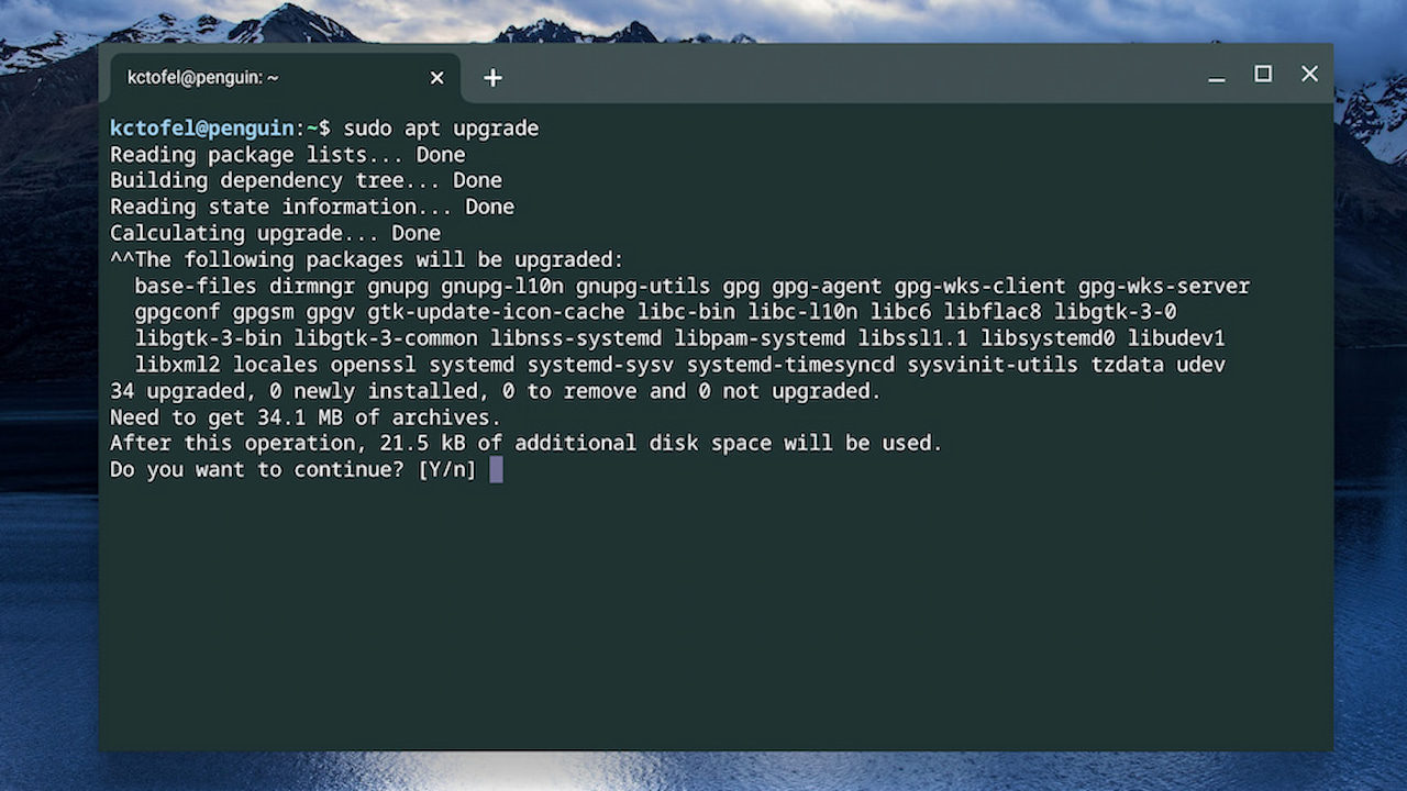 Debian upgrade command on a Chromebook